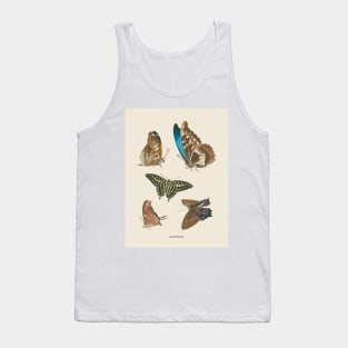 Butterflies Antique Naturalist Illustration Tank Top